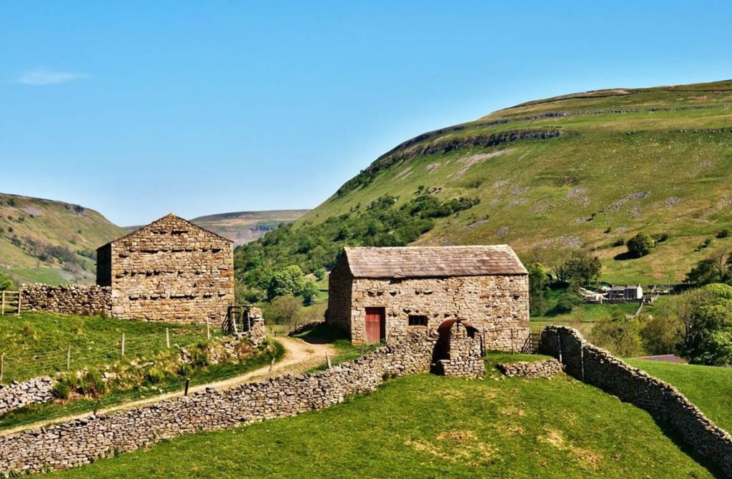 This image captures a past Mindful Movers event in XYZ location, where we spent the day engaging in XYZ activities. The scene reflects the energy and connection of the participants, highlighting moments of mindfulness, movement, and community. It serves as a great reminder of the positive impact and shared experiences from the day.